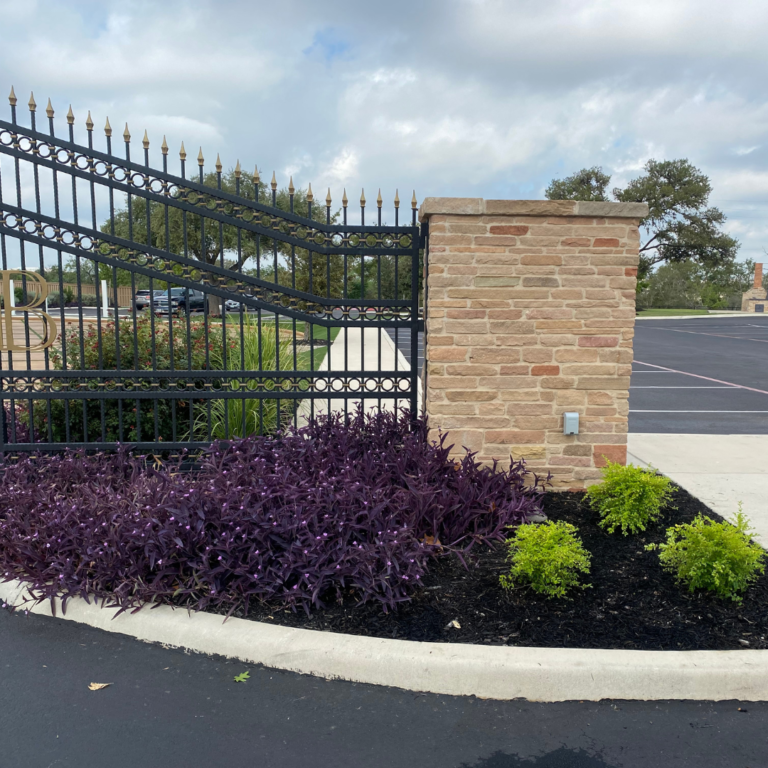 A flower used for landscaping