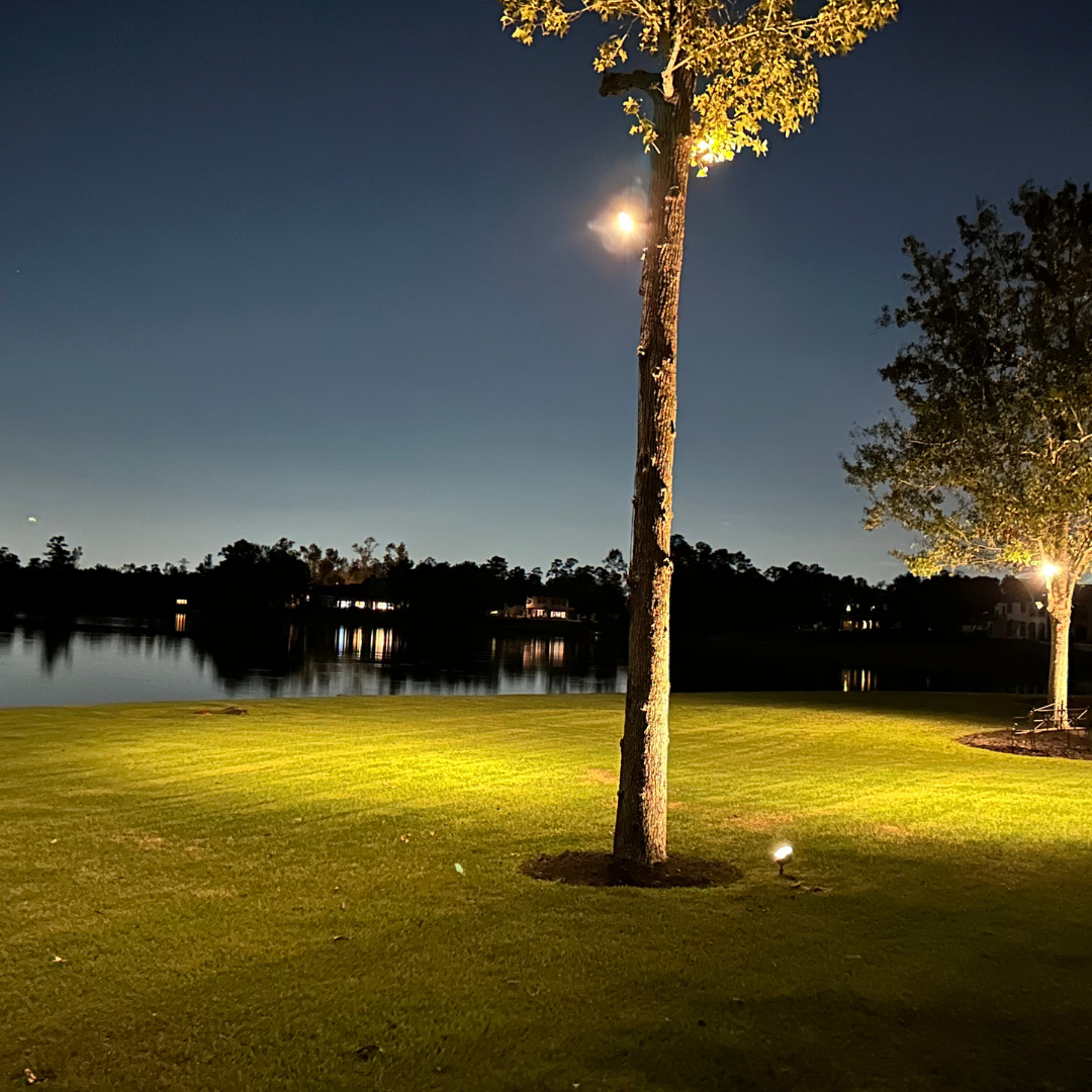 A landscape lighting