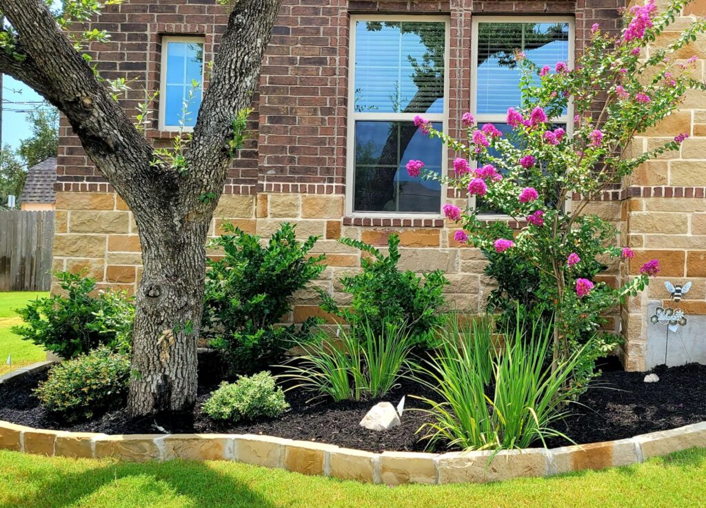 A sample of a good garden in Texas