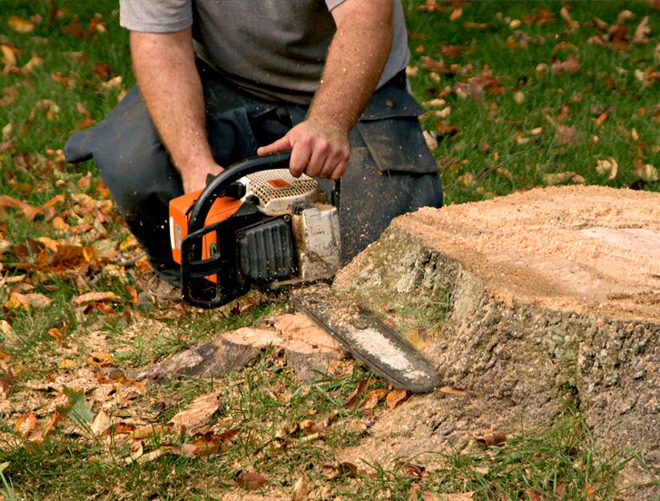 Stump Removal and Grinding