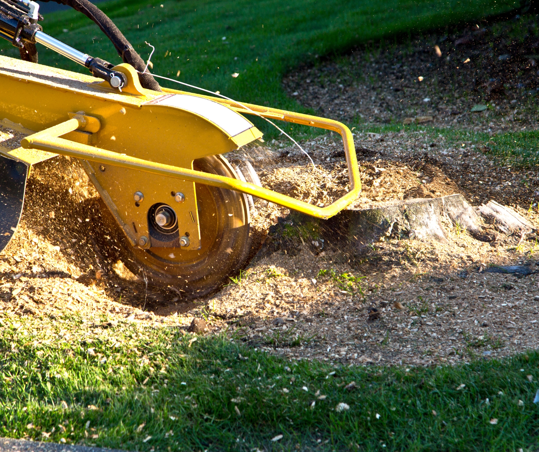 Tree Grinding