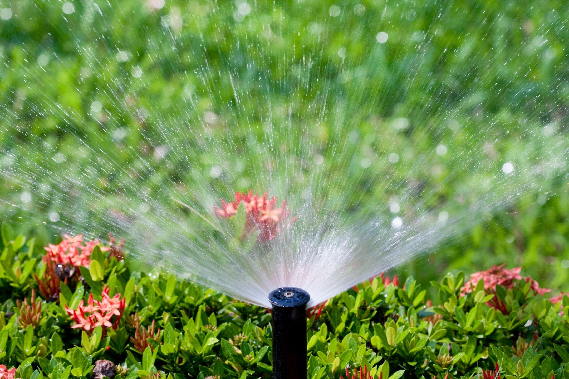 A Water Sprinkler