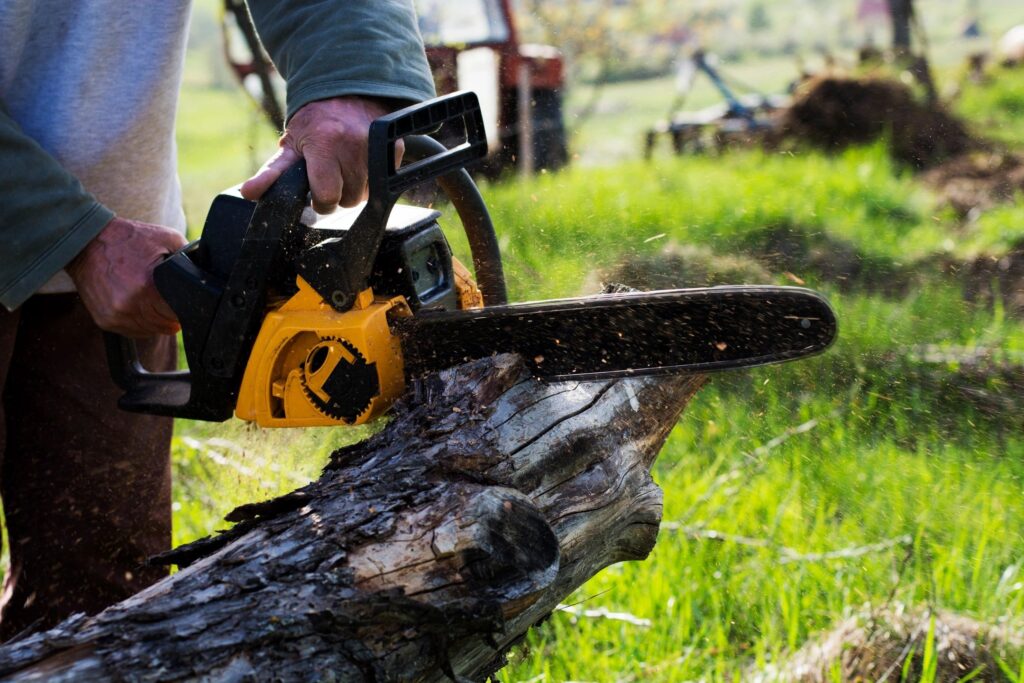 A man trimming a tree