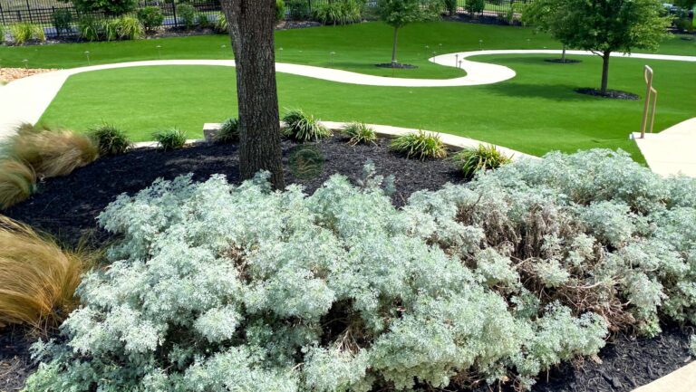 A great example of a luxurious backyard with beautiful landscaping